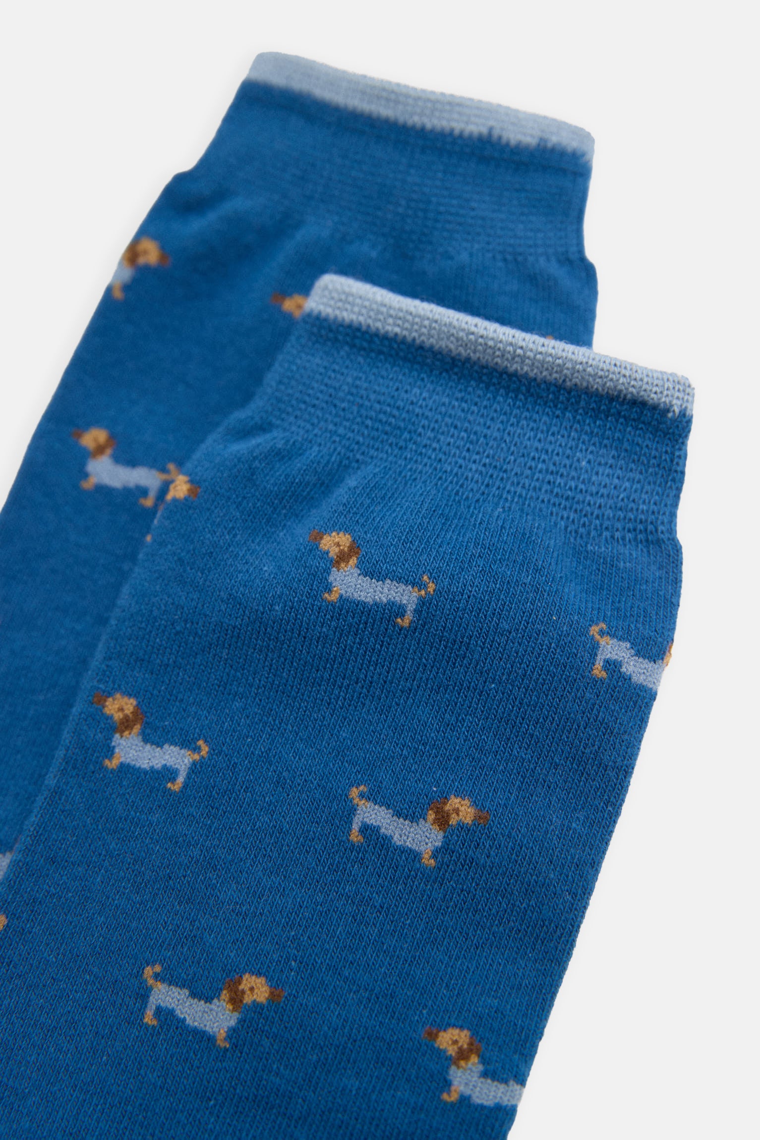 Confezione di boxer e calzini stampati con bassotto