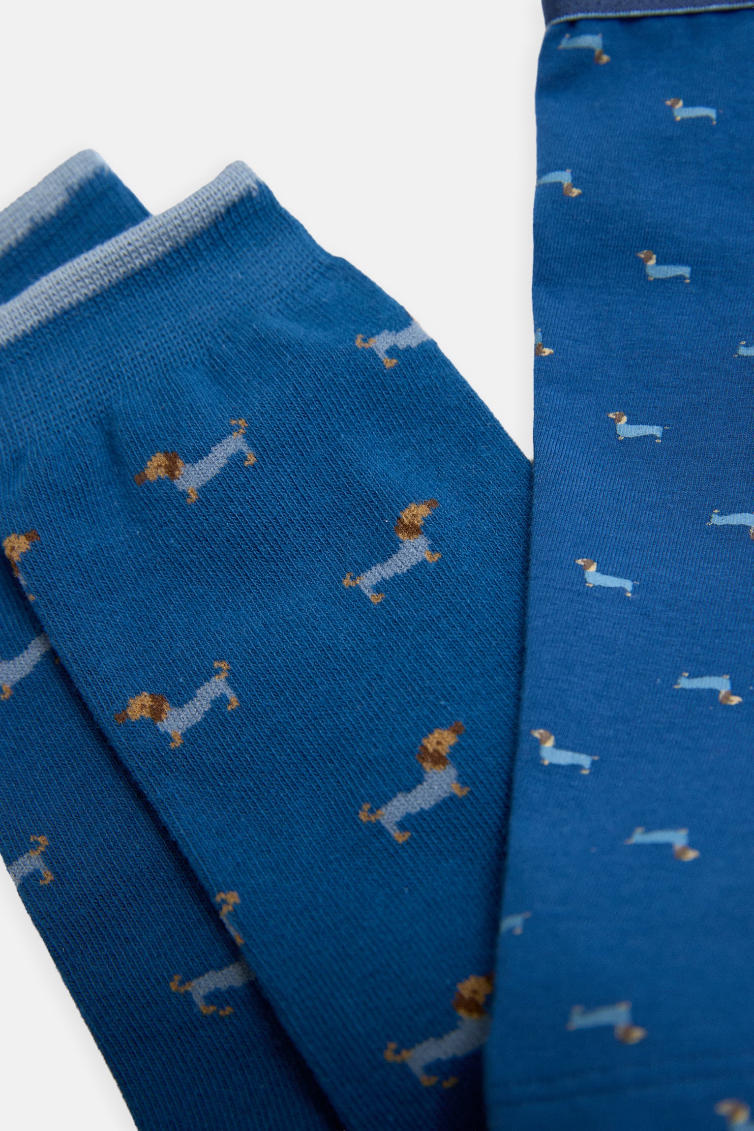 Confezione di boxer e calzini stampati con bassotto