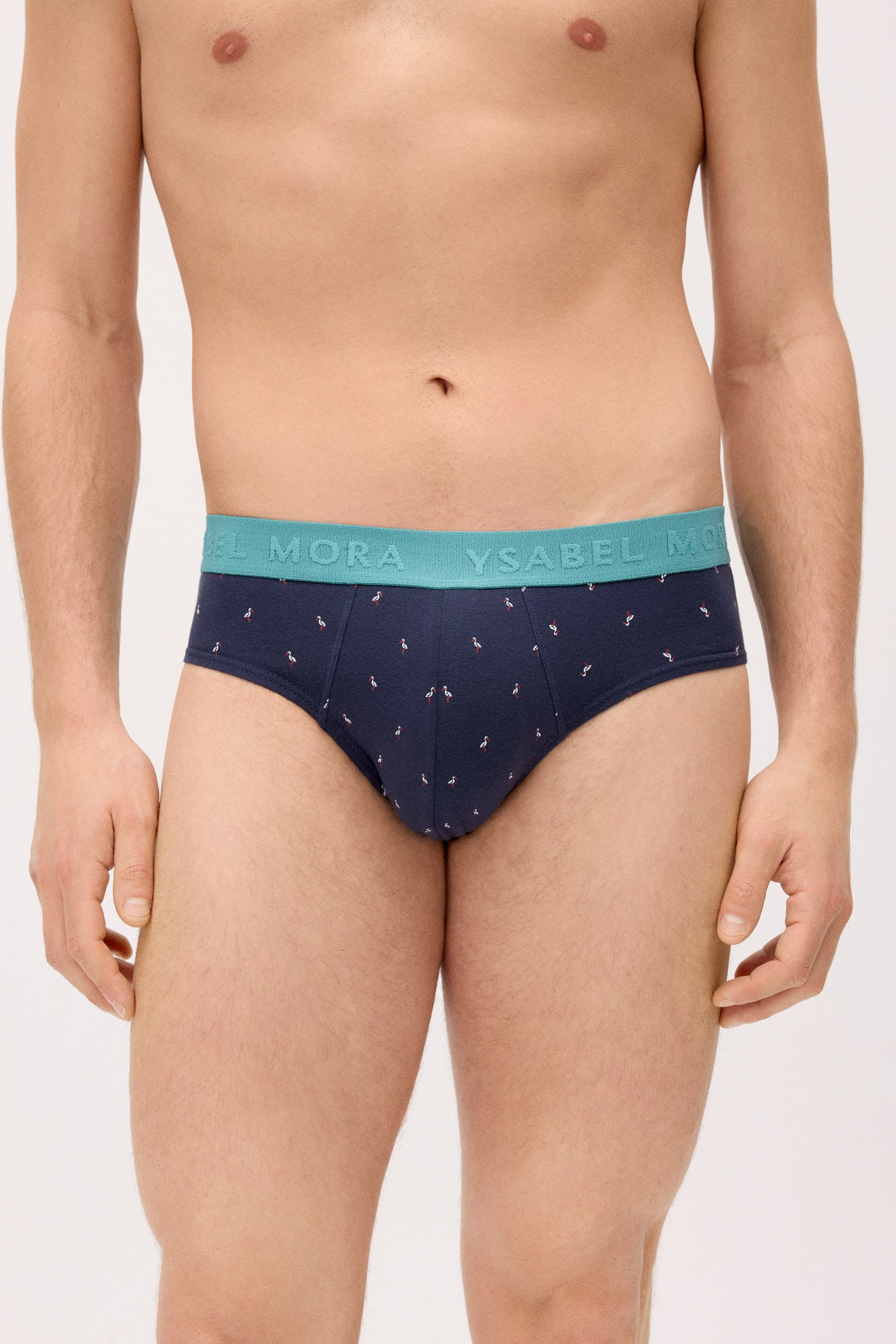 Confezione da 6 slip con stampa animalier