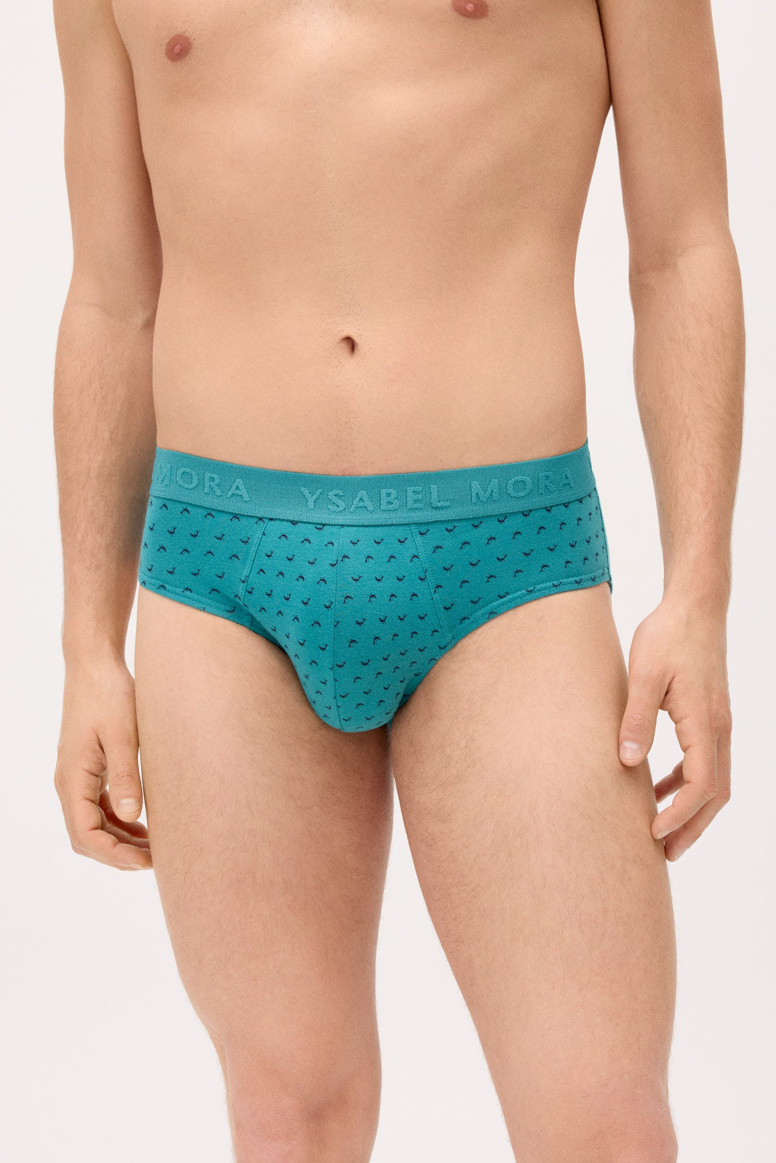 Confezione da 6 slip con stampa animalier