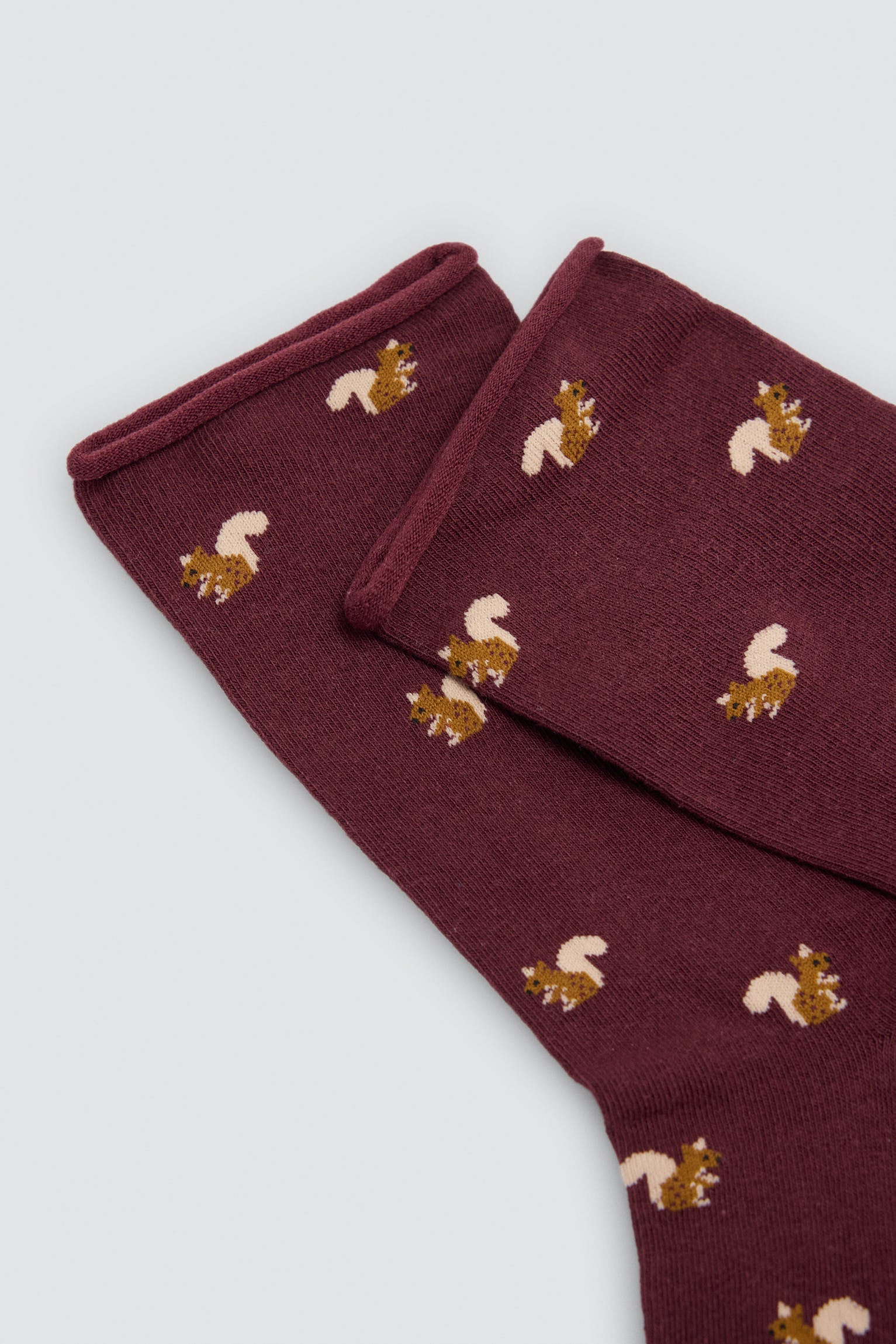 Pack 4 calzini sin puño estampado animales