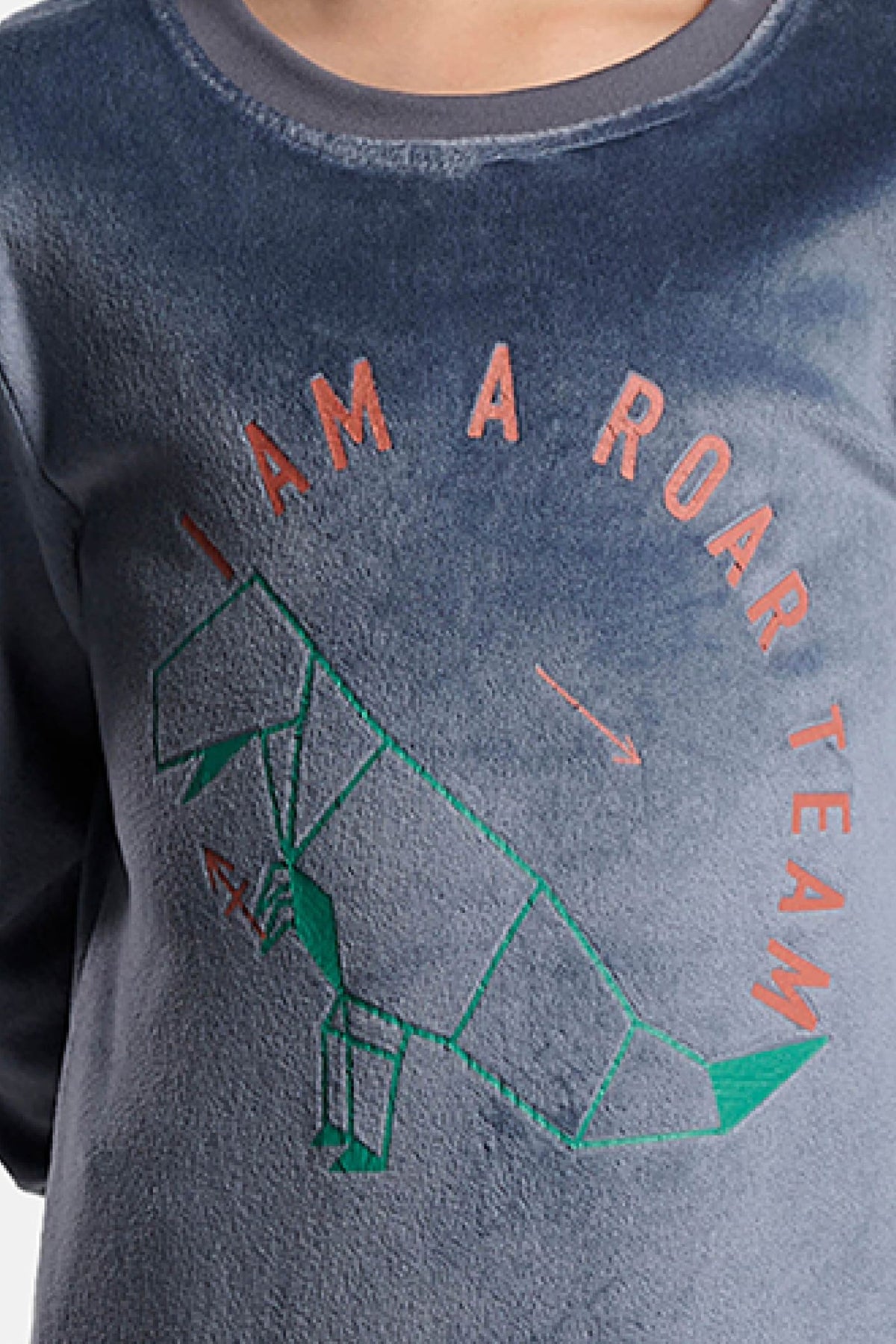 Pigiama lungo bambino terciopelo I am a roar team stampa dinosaurios
