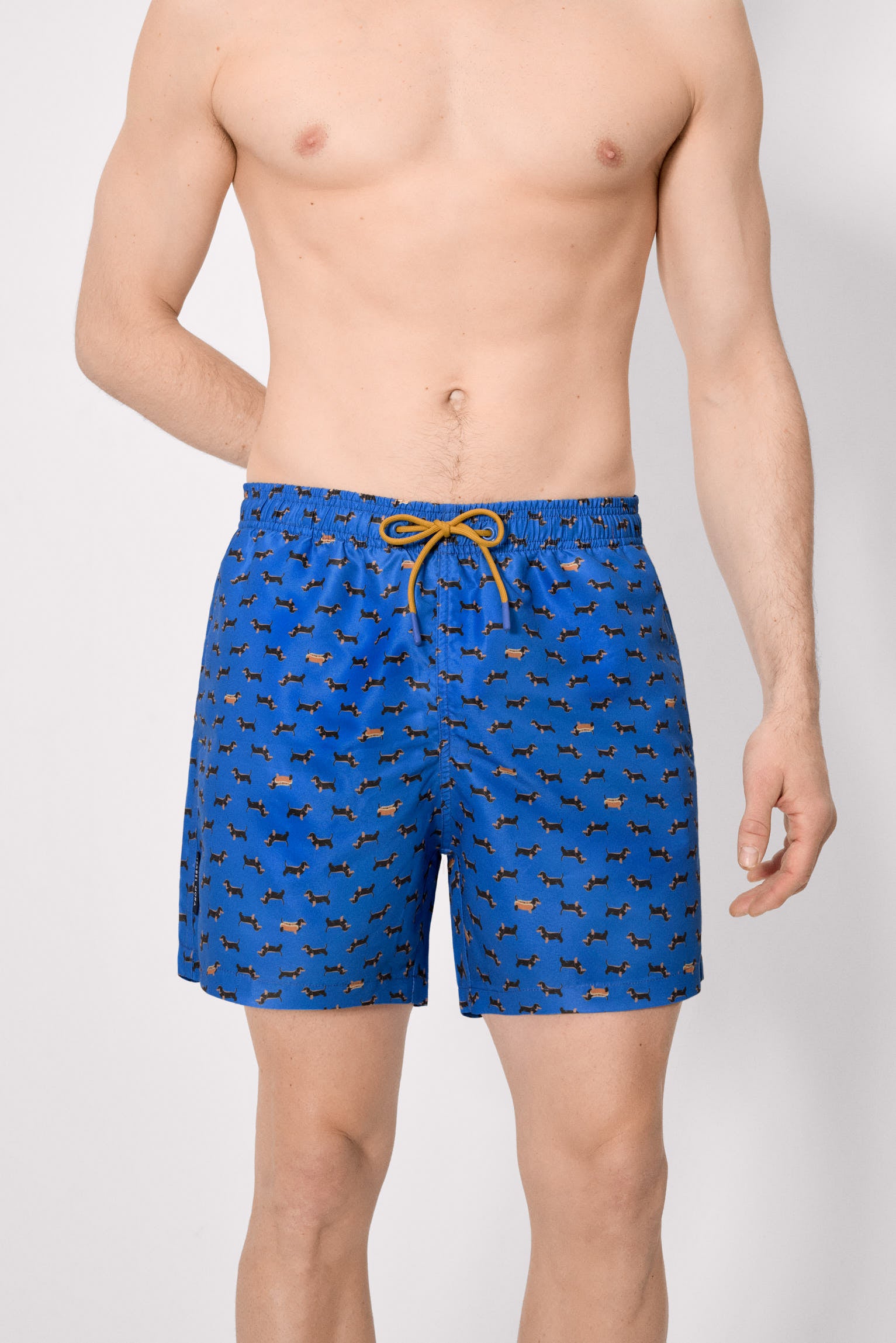 Costume da bagno lungo con stampa bassotto blu