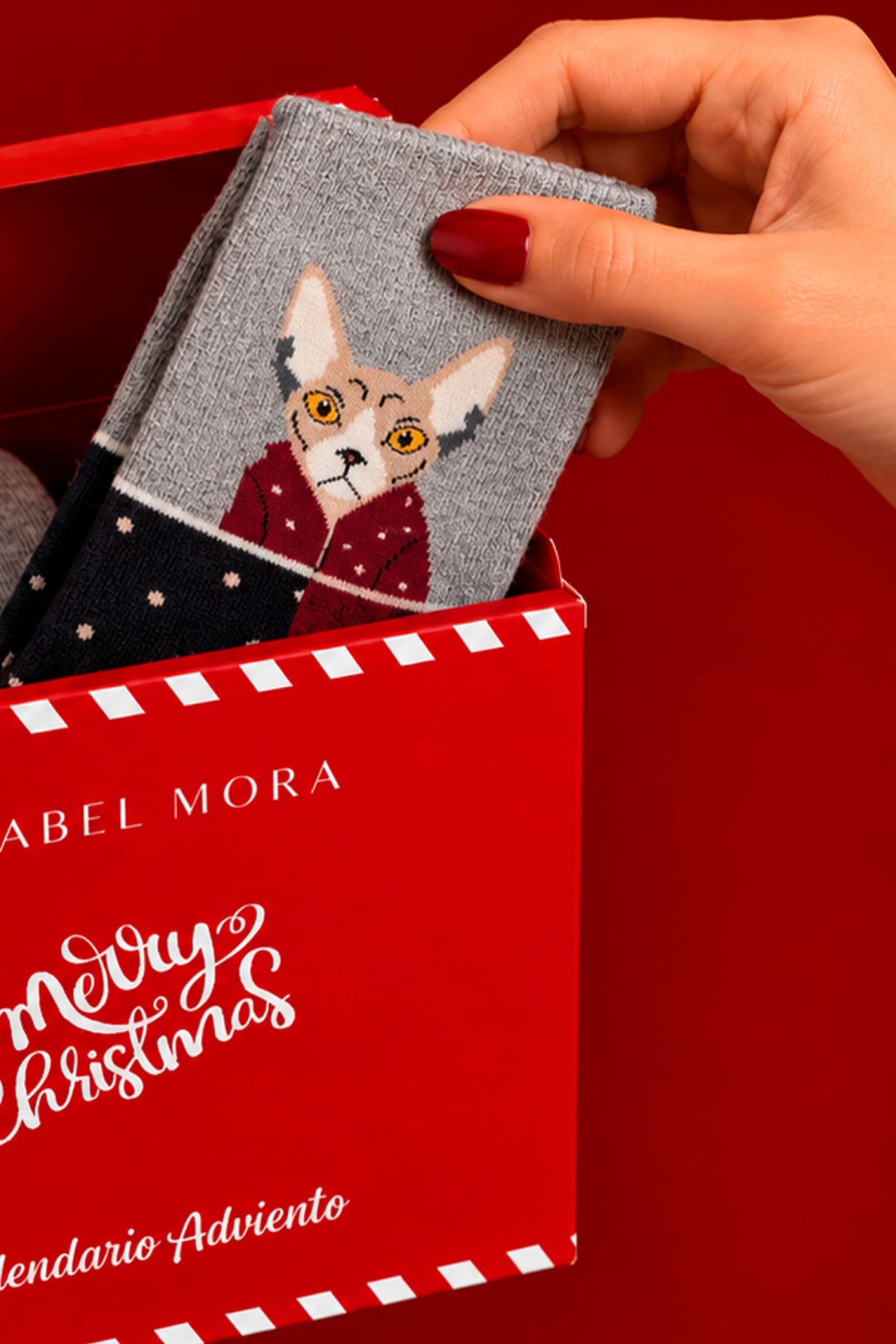PREVENDITA Calendario dell'Avvento Essential 12 giorni da uomo