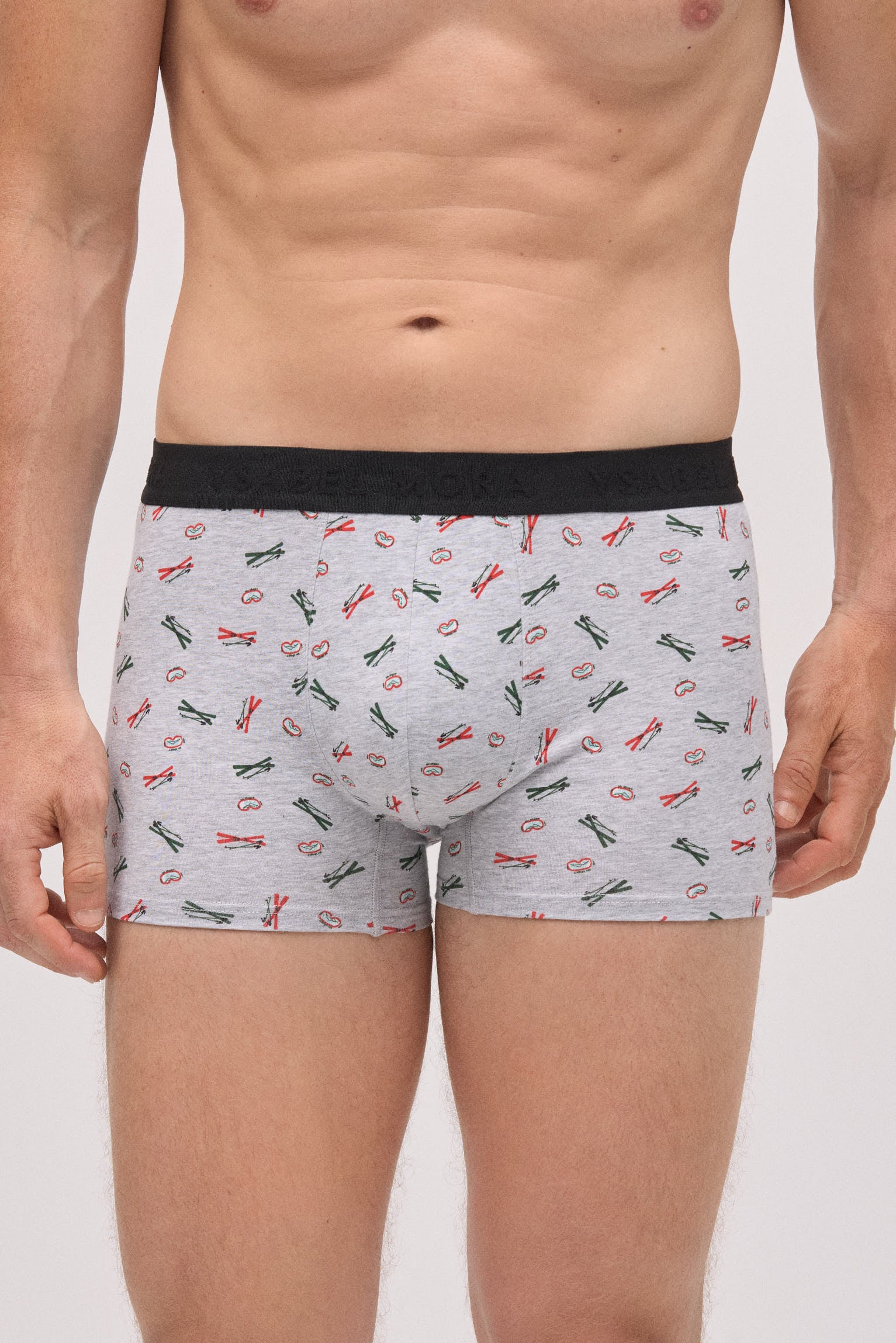 Confezione da 6 boxer stampati