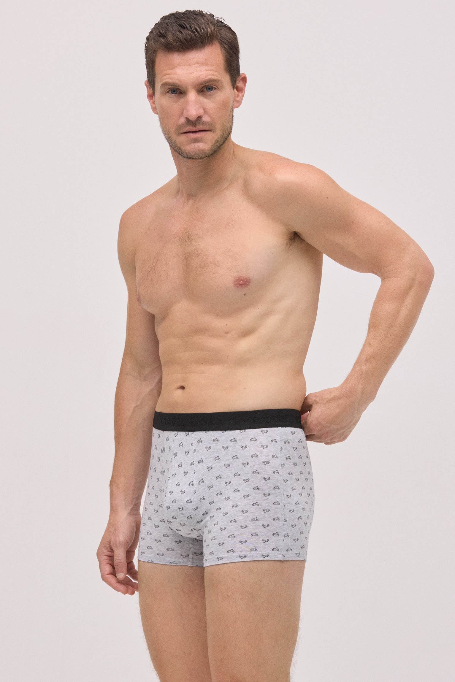 Confezione da 6 boxer stampati