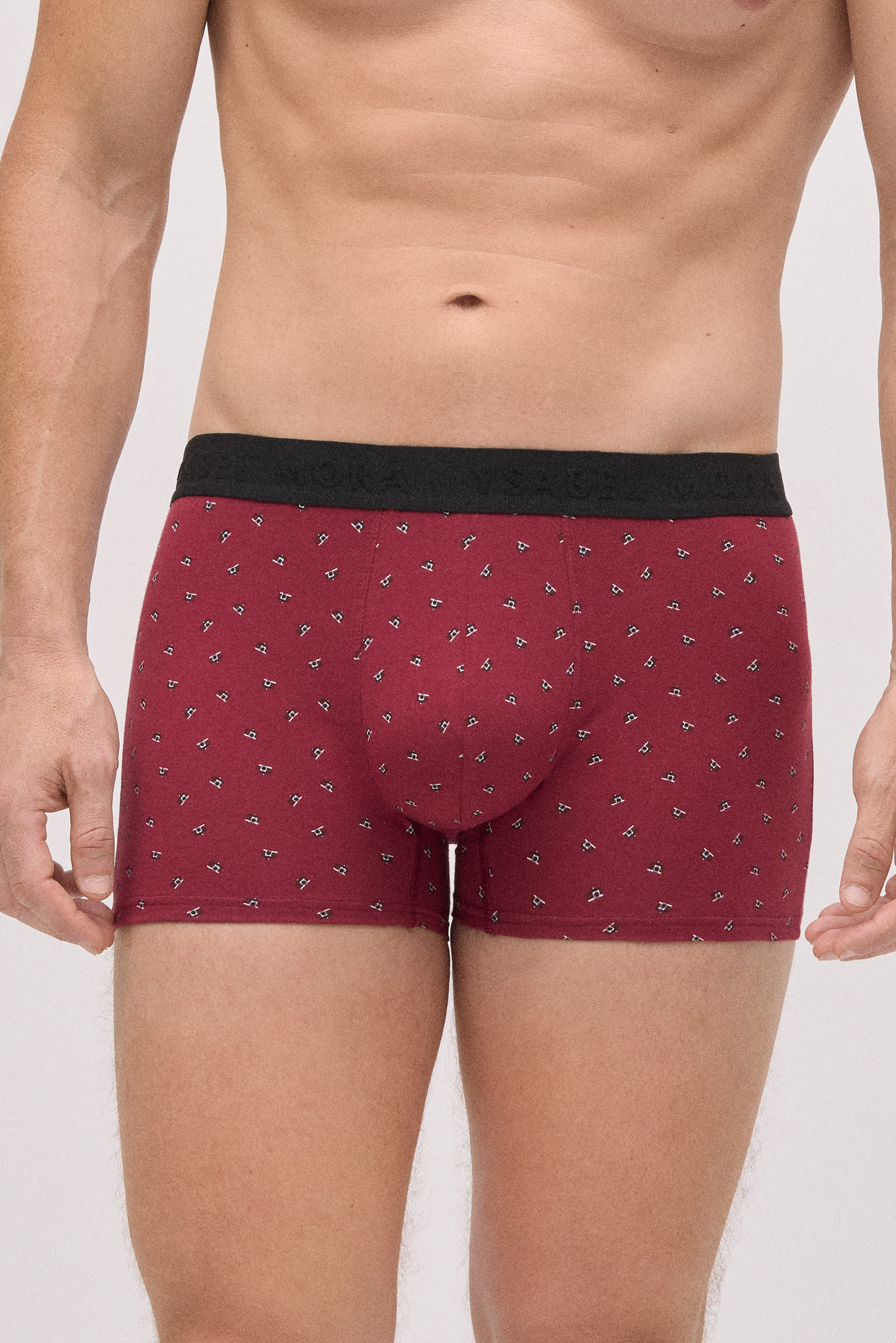 Confezione da 6 boxer stampati
