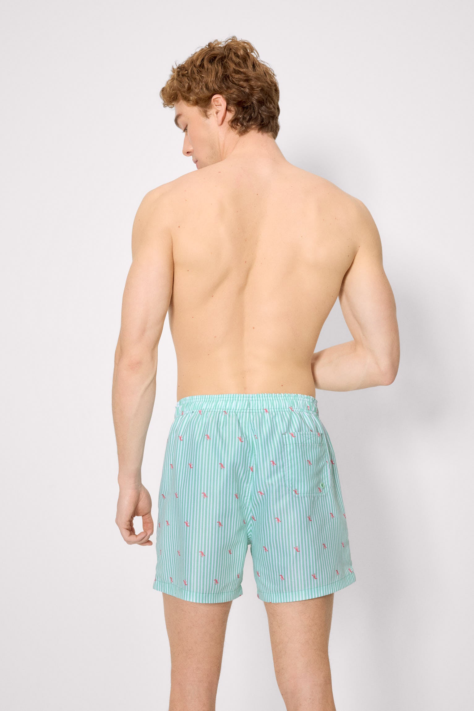 Costume da bagno verde a mezza lunghezza con stampa a righe e mini aragoste