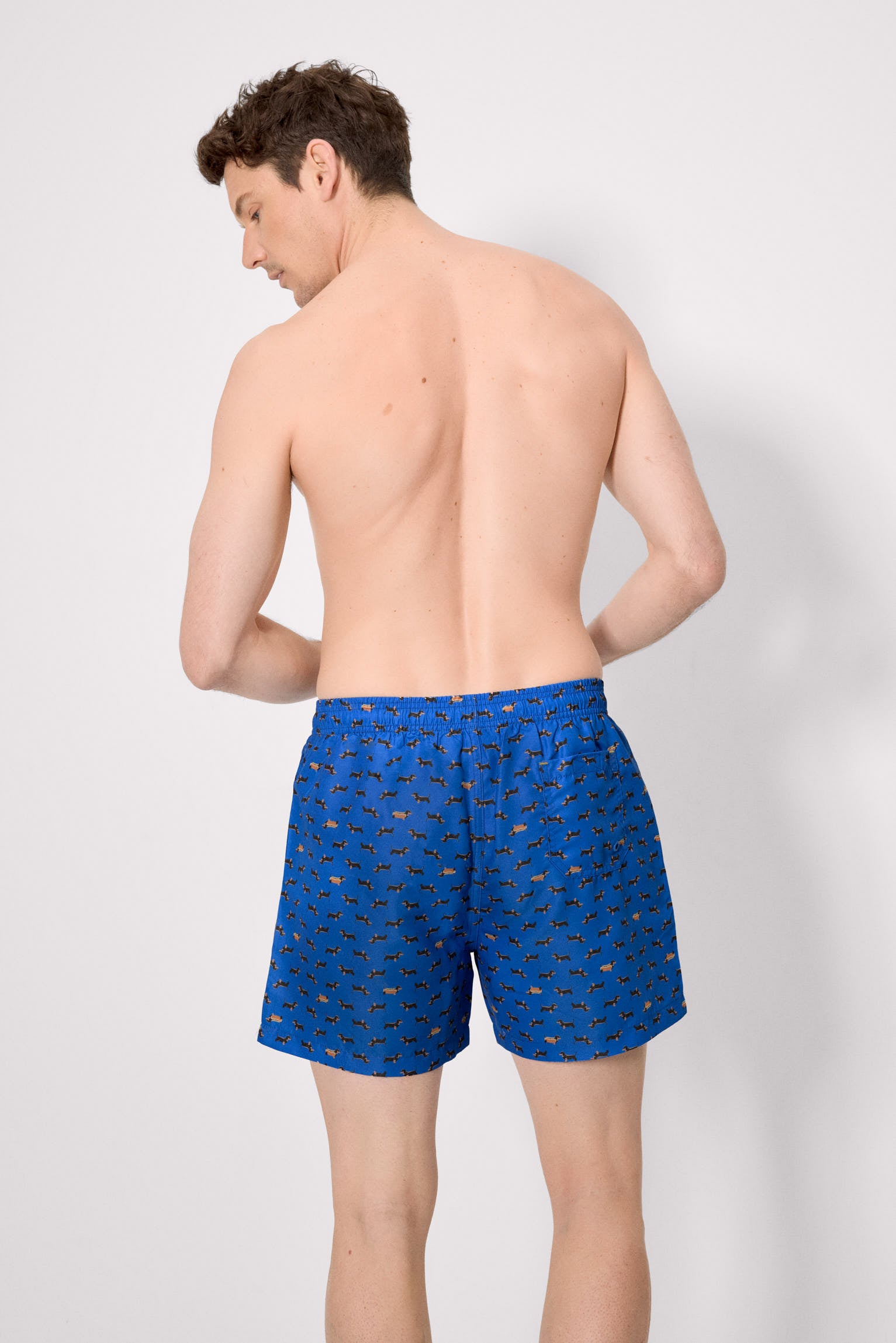 Costume da bagno intero con stampa bassotto blu