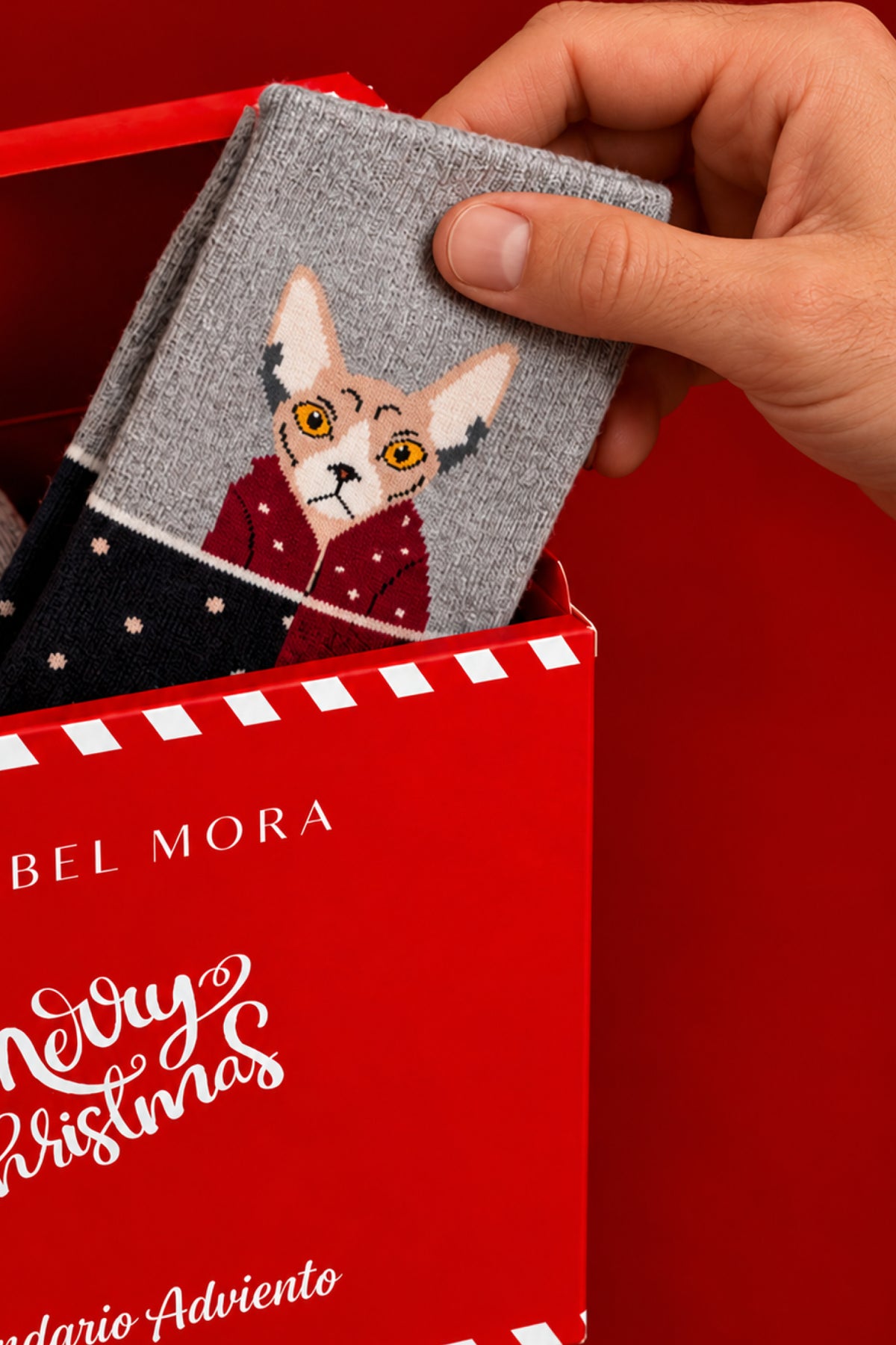 PREVENDITA Calendario dell'Avvento Essential 12 giorni da uomo