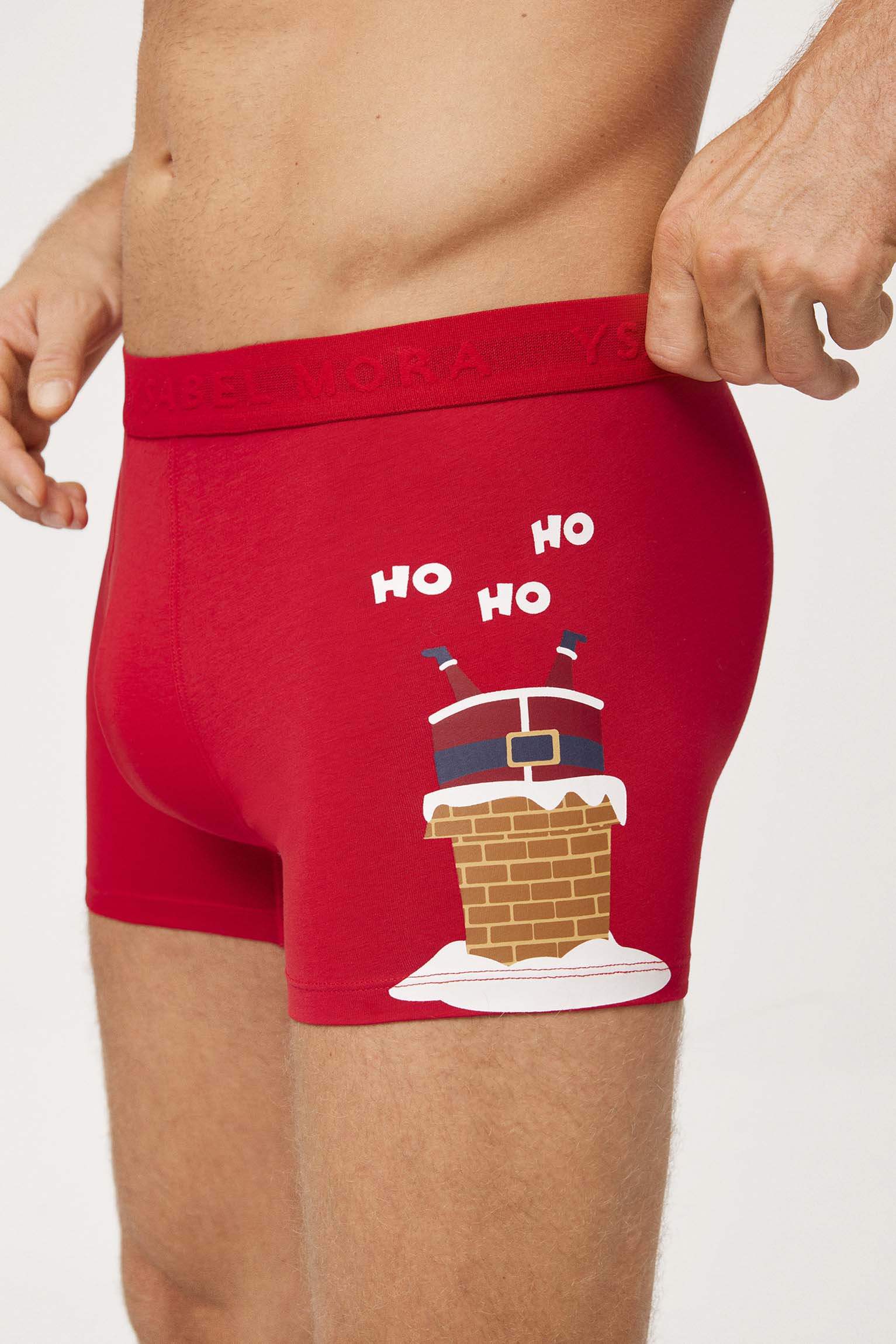 Boxer Natale